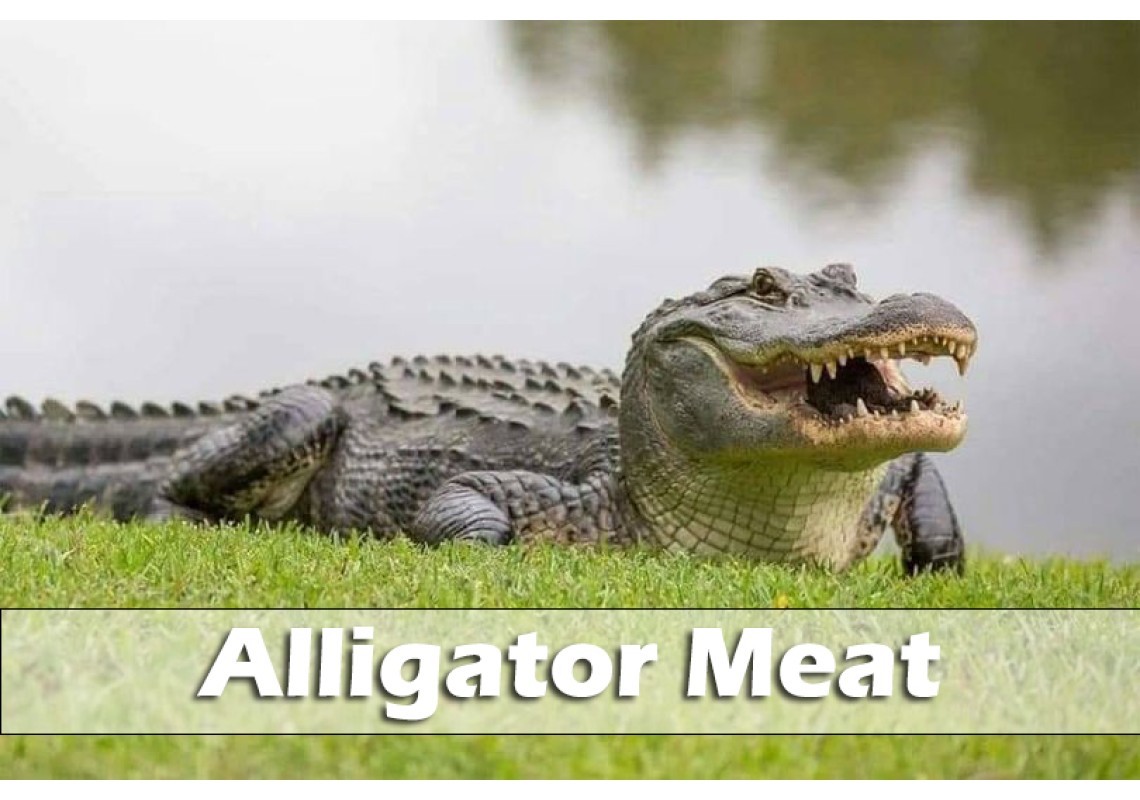 Alligator Meat: Taste, Cooking Tips, Nutrition, and Where to Buy It