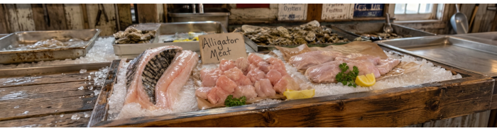 Alligator Meat