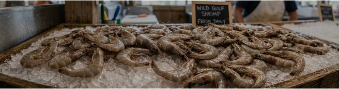 Gulf Shrimp