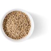 Ole Homestead Sorghum Molasses