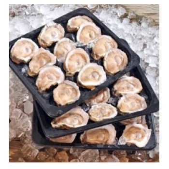 One Dozen Extra Fancy Half Shell Gulf Oysters
