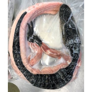 Small Whole Alligator Small Whole Alligator