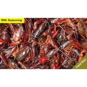 Sack of Field Run Live Crawfish for Sale with Seasoning