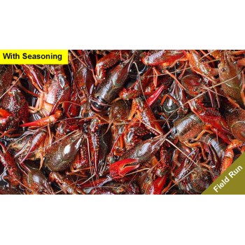 60 lbs of field-run live crawfish with seasoning, ready for delivery